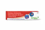 Linseed Oil BP 3.0%w/w, Diclofenac Sodium 1% w/w Methyl Salicylate IP 10% w/w + Menthol IP..5% w/w, Benzyl Alcohol IP..1% w/w Gel (Swasth Pain Relief Gel)- GA